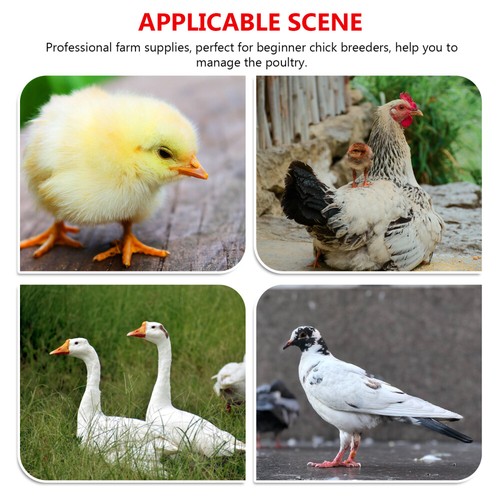 10 Pcs Bauernhof Fütterung Liefert Hängen Huhn Feeder Huhn Feeder Bowl - Bild 2 von 12