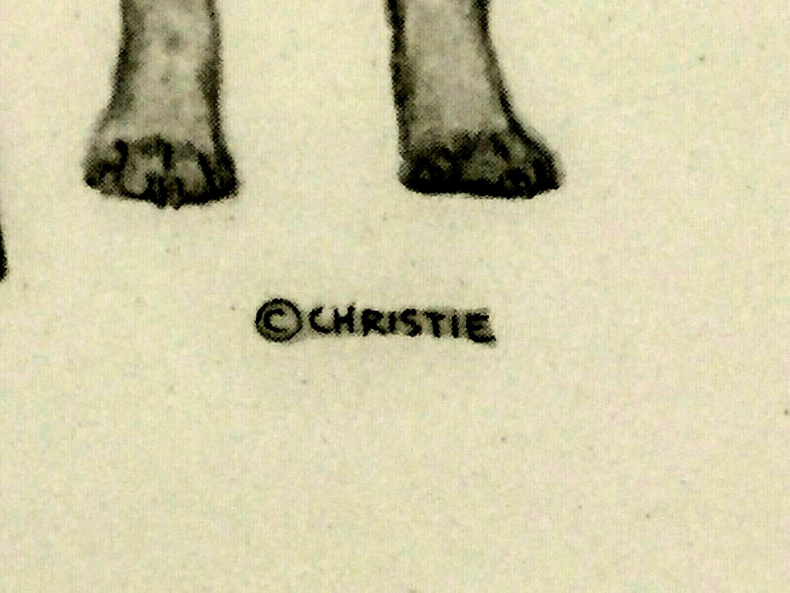 Picture 11 of 12