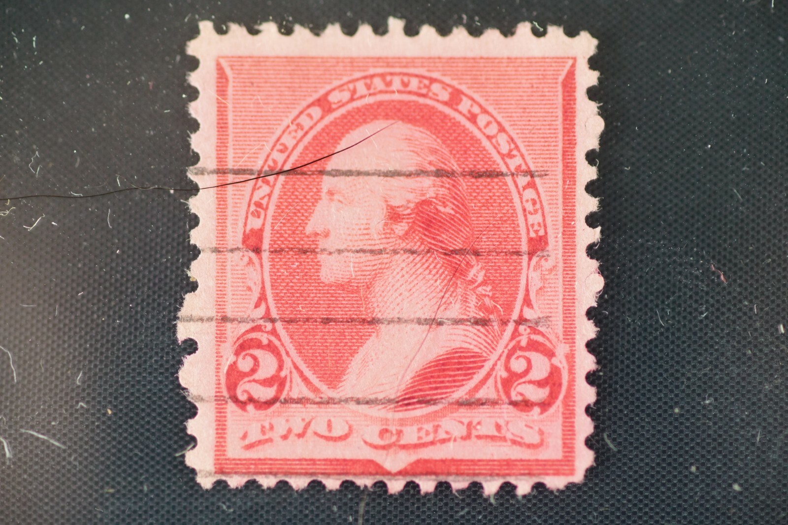 Picture 5 of 10