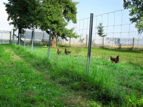 350 m clôture de protection contre achat la faune sauvage, clôture forestière, grillag