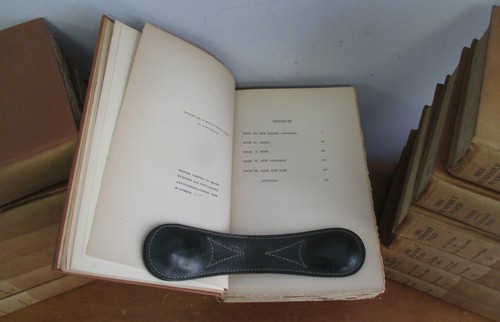 Die Schriften von Frau Humphry Ward 16 Vol. Set Ltd Autogrammausgabe, 1909-12 Illus - Bild 4 von 7
