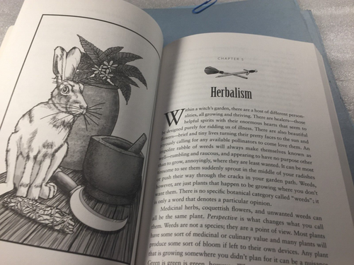 Besom, Stang & Sword by Christopher Orapello & Tara-Love Maguire - Picture 11 of 12