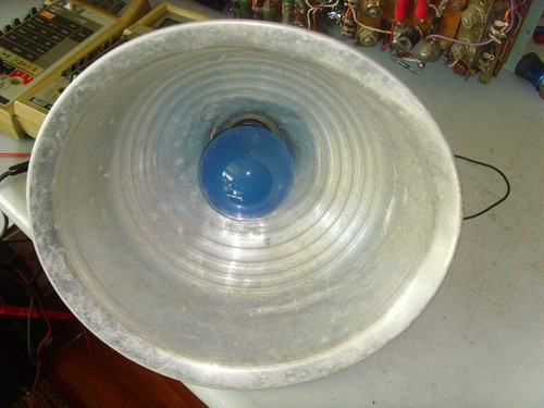 BLUE Vintage Photo Flood Light Bulb Lamp 120V 60W - Free Shipping - Picture 4 of 6