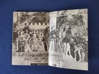 Foto 11 di 12