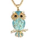 Women's Necklace Pendant Owl Gold Turquoise Rhinestone Twig Party Gift Party