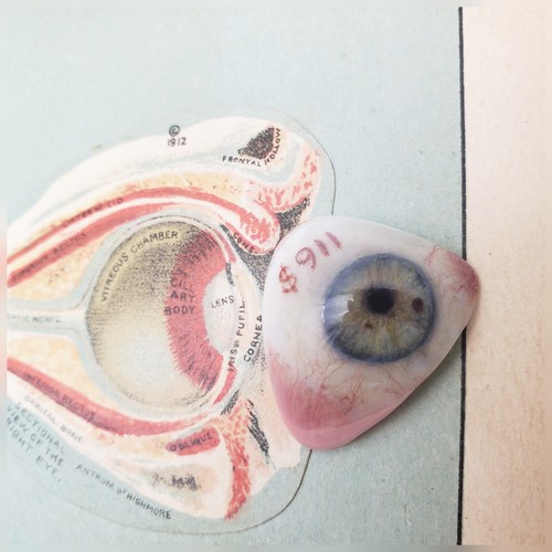 Vintage Prosthetic Plastic Eye Salesman Sample Human Eye Super Rare Painted - Picture 10 of 11