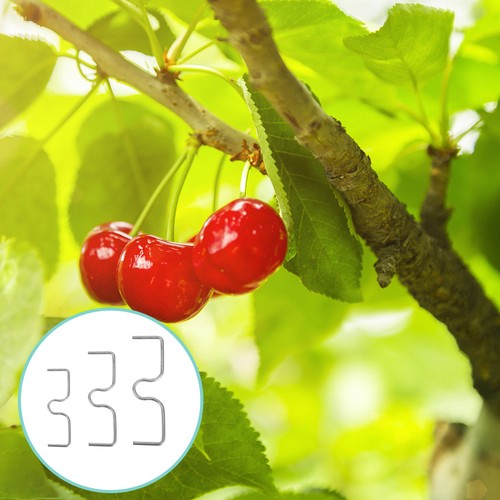 30 Pcs Fruit Tree Branch Spreaders Support Farm Puller Separator - Picture 7 of 12