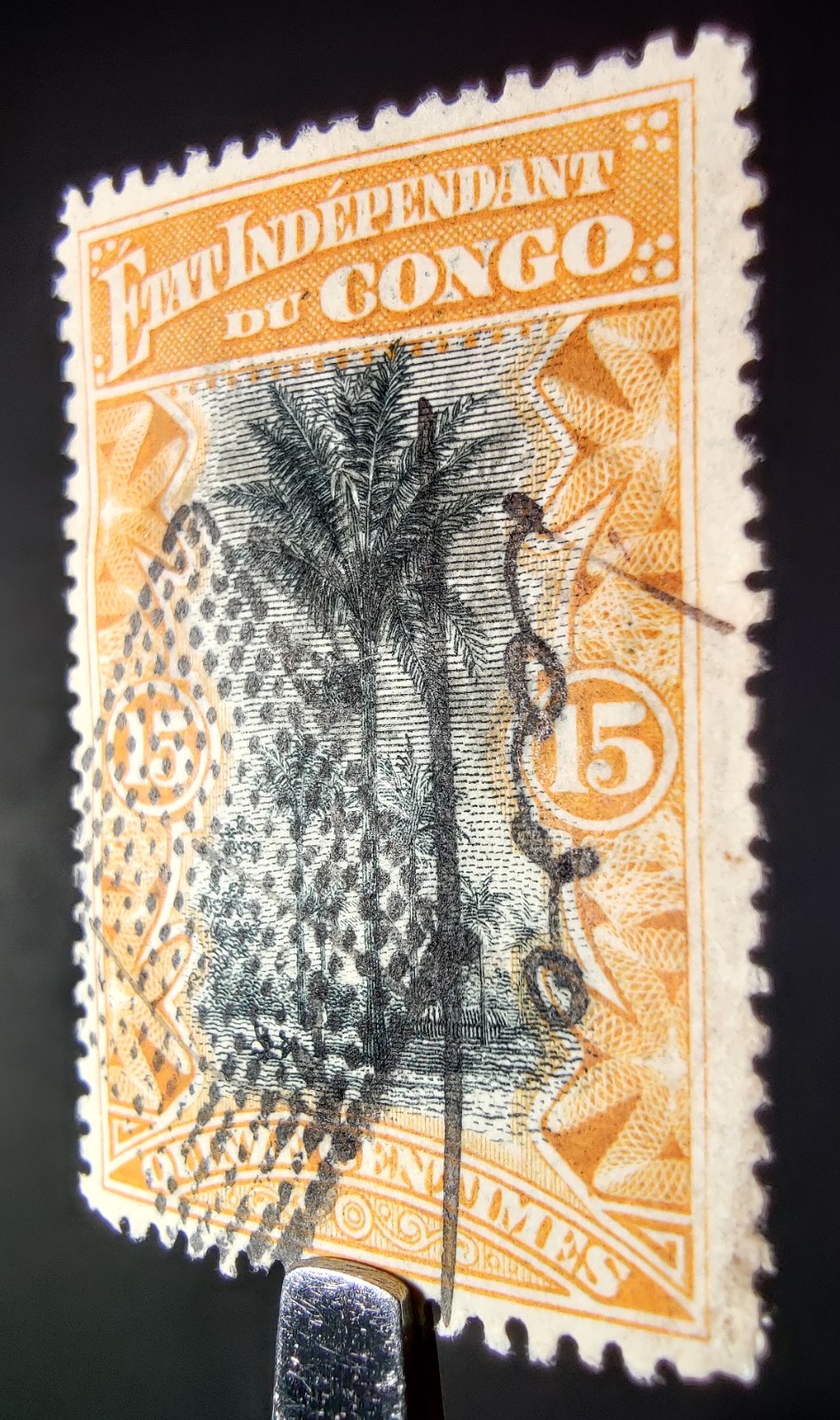 Picture 6 of 13