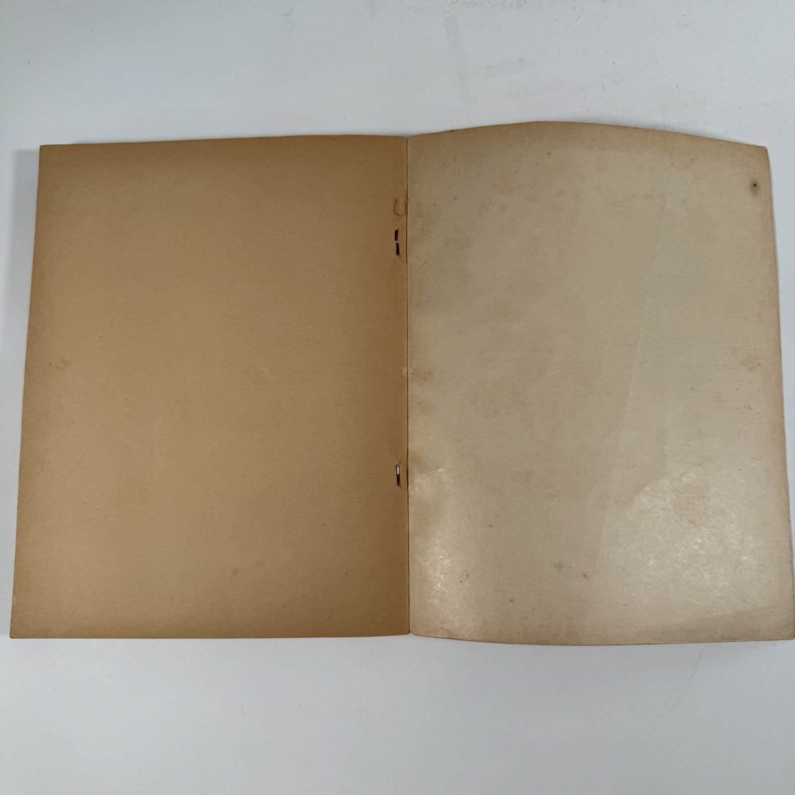 Picture 20 of 20