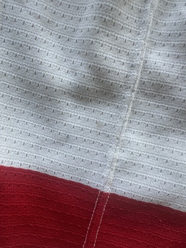 Vintage Steve Yzerman 1990’s NIKE Authentic Red Wings Jersey Size 44(S) - Picture 23 of 23