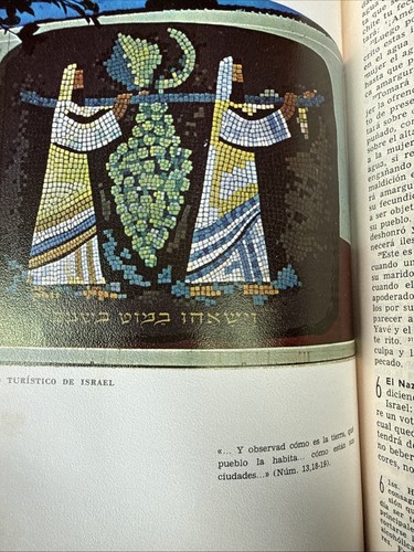 La Santa Biblia Ediciones Paulinas 10 a Edicion 1964 traduzione spagnola Bibbia - Foto 16 di 19