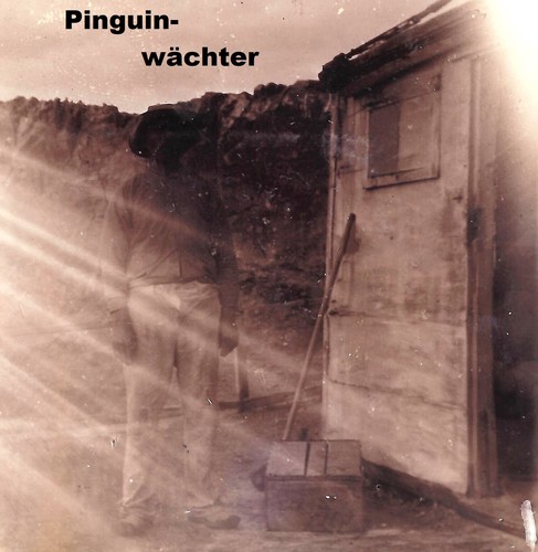 Namibia Deutsch Südwestafrika Pinguine Lüderitzbucht Farmer Hase 6x orig. 1899 - Bild 3 von 5
