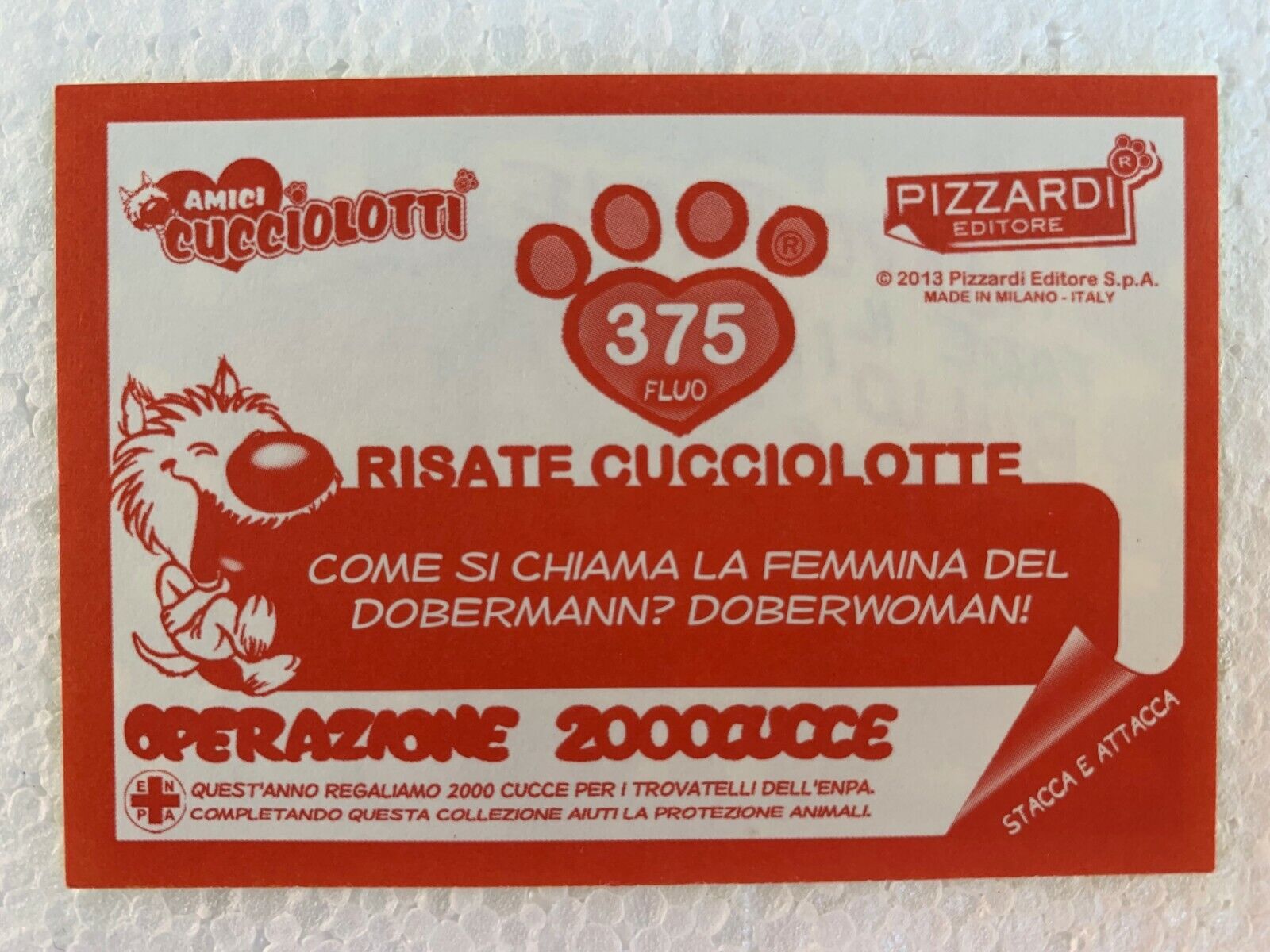 Foto 22 di 54