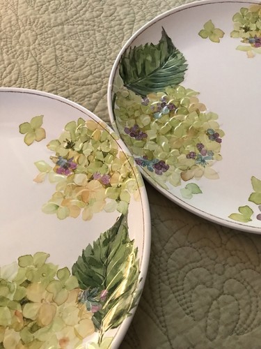 Rachel Ashwell Melamin Hortensie Garten Salbei Speiseteller 4er Set Picknick - Bild 6 von 14