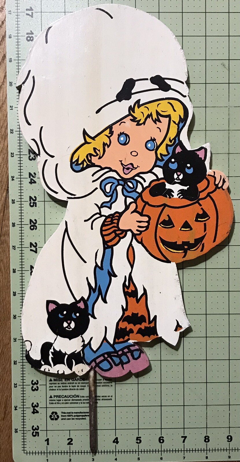 Foto 7 di 7