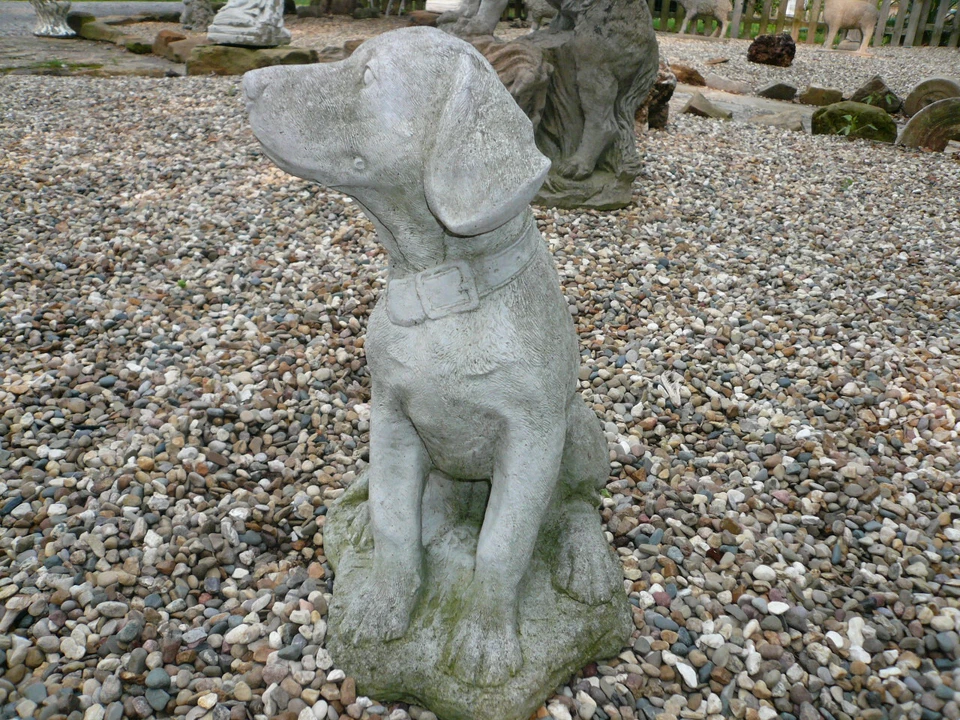 REGAL YOUNG HUNTING DOG VINTAGE CEMENT/CONCRETE GARDEN ORNAMENT 15" TALL - Image 2 of 4