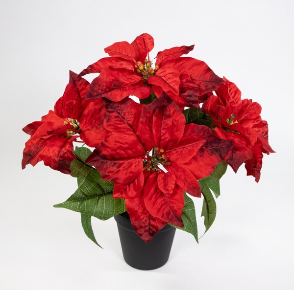 Weihnachtsstern 36Cm Rot Im Topf Lm KüNstliche Blumen Kunstpflanzen Kunstblumen-image