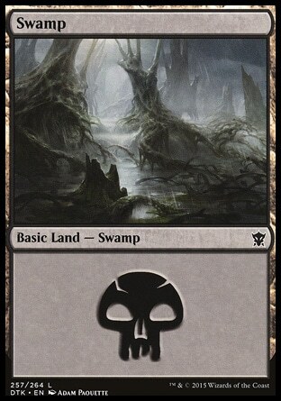 MTG Magic the Gathering Swamp (257/272) Dragons of Tarkir LP - Picture 1 of 1