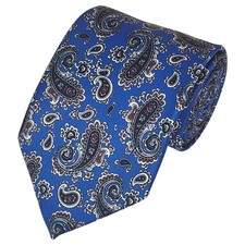 Men's Paisley Printed Design 100 Micro Fiber 3.25" W x 58" L Necktie