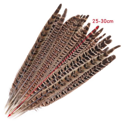 HOT SALE 8-10 Inch Long 20pcs Natural Pheasant Tail Feathers Craft Party DIY - Picture 7 of 8