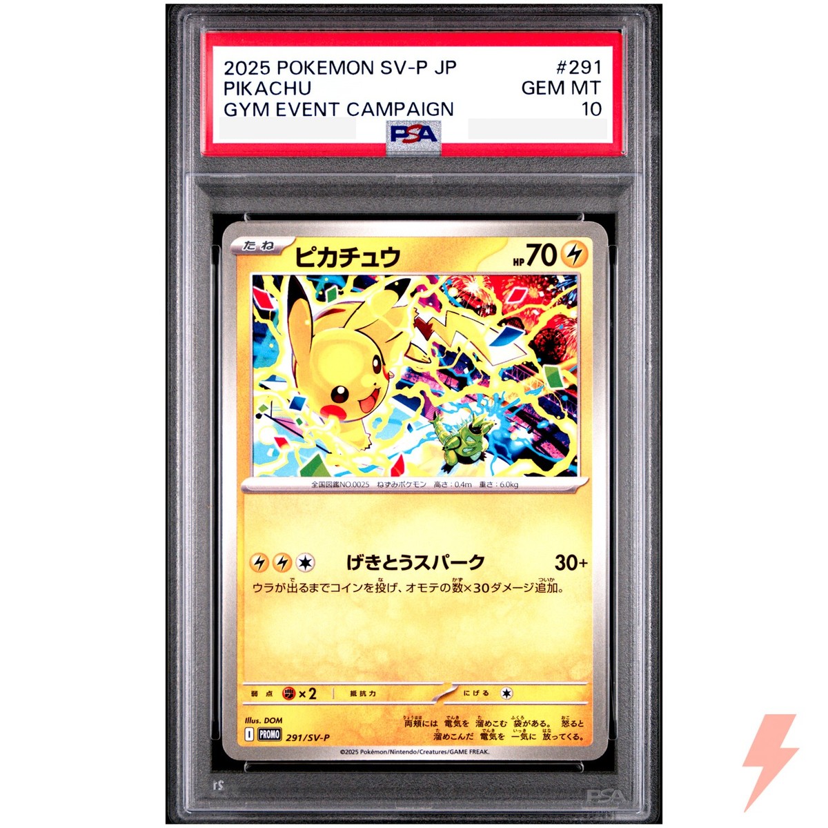 PSA 10 Pikachu 291/SV-P Promo Gym Event Pokemon Card Japanese | eBay