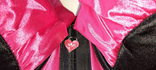 PLAYBOY EXPOSED LADIES HOT PINK & BLACK CORSET & STOCKING HOLDERS (SIZE: 34D) - Picture 4 of 11