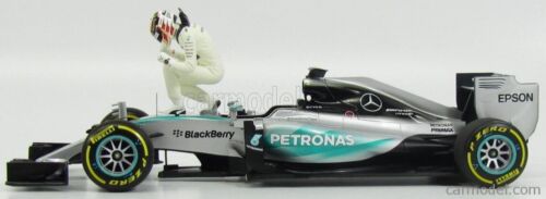 Lewis Hamilton World Champion 2015 - Foto 6 di 6