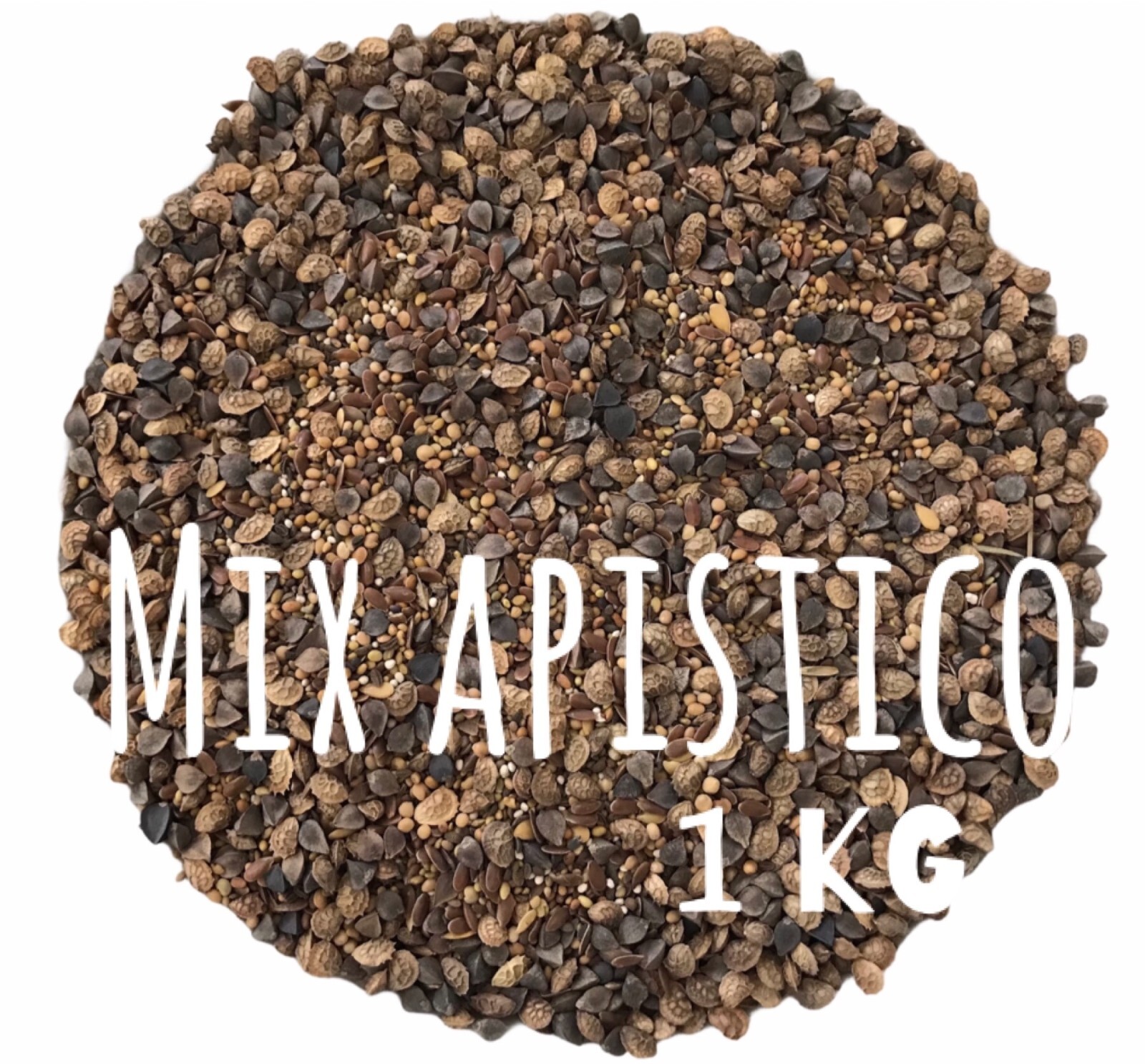 Foto 1 di 7
