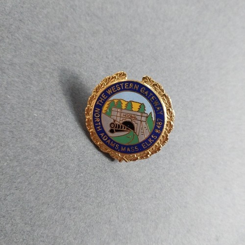 Prendedor chaqueta solapa The Western Gateway North Adams Massachusetts MA ELKS #487 - Imagen 1 de 2