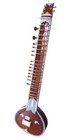 Professional High Quality Musical String Instrument Brwon Electric Sitar