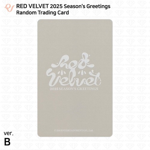 Red Velvet 2025 Season's Greetings Random Trading Card Concept Selfie Photocard - Bild 98 von 112