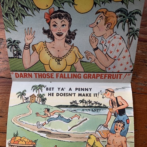 ADULT HUMOROUS CURT TEICH FLORIDA SOUVENIR POST CARD SET “FLORIDA COMICS” 1952 - Bild 5 von 11