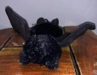 Picture 10 of 24