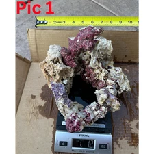 Rare Live rocks Live Rocks Marine Saltwater Fish Tank Aquarium Reef YOU PICK