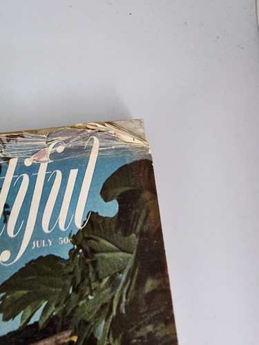 Haus schöne Zeitschrift Jul 1956 Band 98 Nummer 7 MCM Dekor Zimmer Vintage Anzeigen - Bild 17 von 23