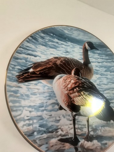 FREEZE UP Teller Winged Reflections R.S Parker Hamilton Collection Kanadagänse - Bild 6 von 16