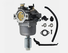 Briggs  Stratton Carburetor   699109, 791888, 793224, 794572, 792358, 791858