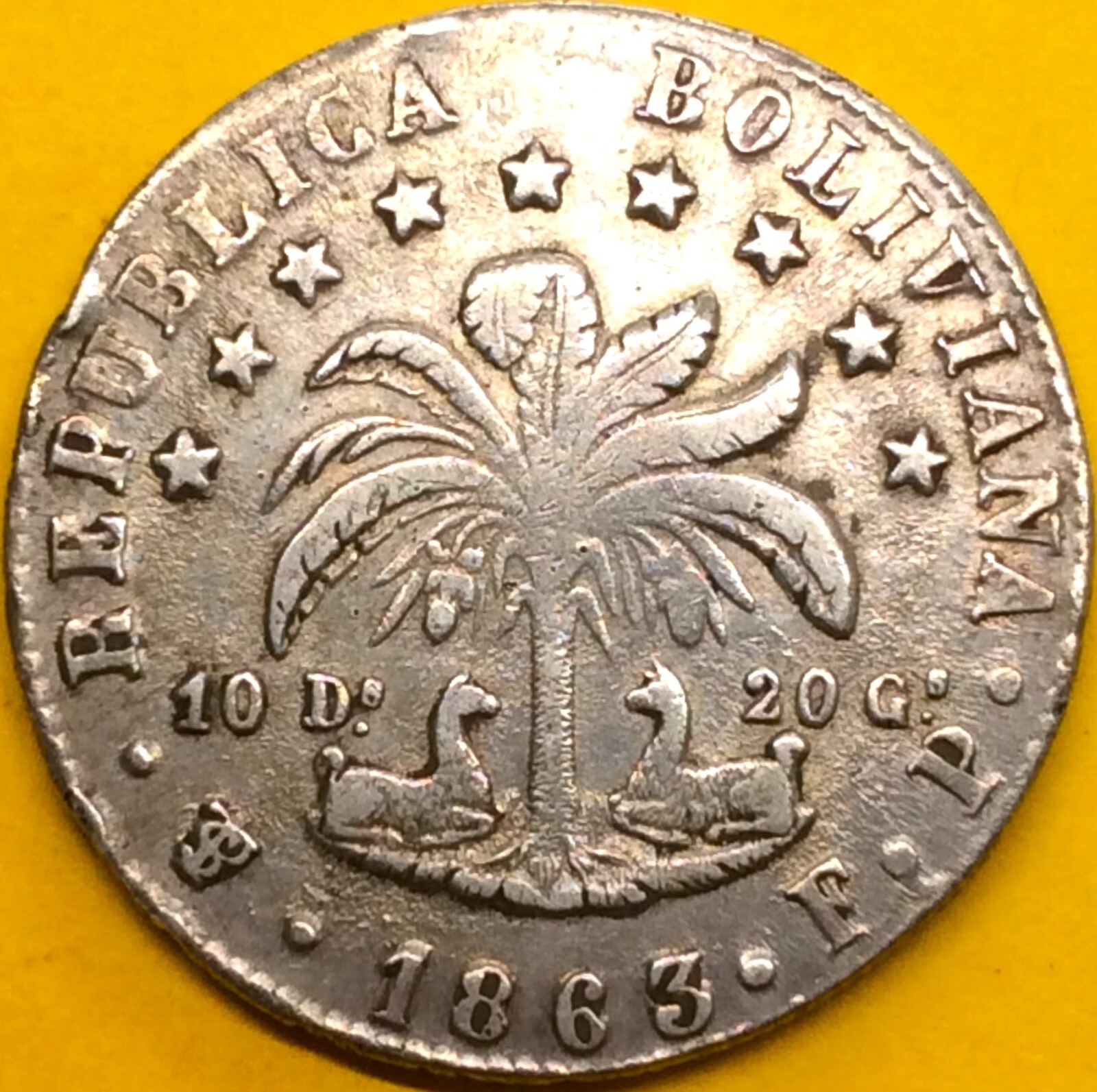 Picture 6 of 10