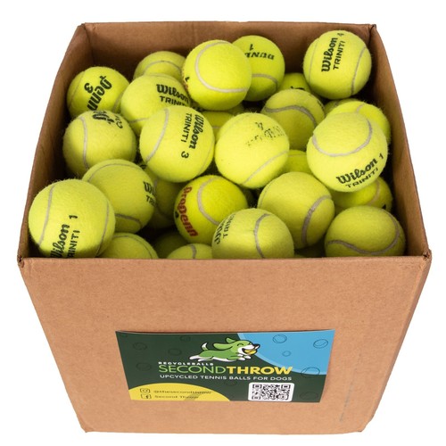 100 Used Tennis Balls - LOW COST DOG BALLS - FREE SHIPPING - SAVE 10% - Picture 2 of 9