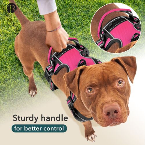 Hundegeschirr Mittlere Hunde, Anti-Zug Brustgeschirr mit Tasche Reflektierend, M - Bild 14 von 78