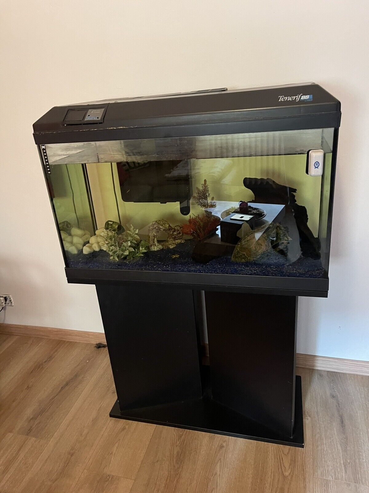 Foto 1 di 3