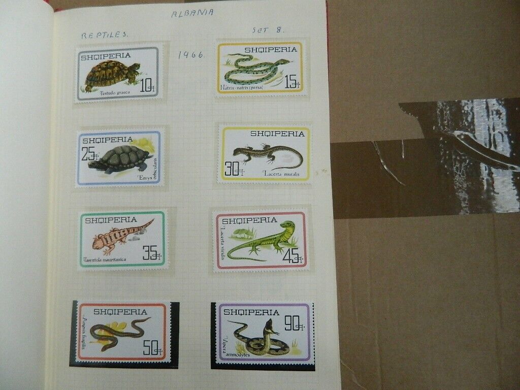 Picture 4 of 24