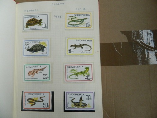 WORLD THEMATICS STAMPS COLLECTION IN ALBUM INC. CHINA 1963 BUTTERFLIES - 第 4/24 張圖片