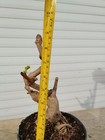 Foto 2 di 3