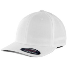 Flexfit Precurved Hat (White) Mens Blank Stre...