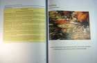 Picture 5 of 7