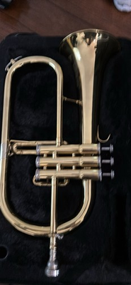 #ad #ad Wurzburg Flugelhorn $280.00