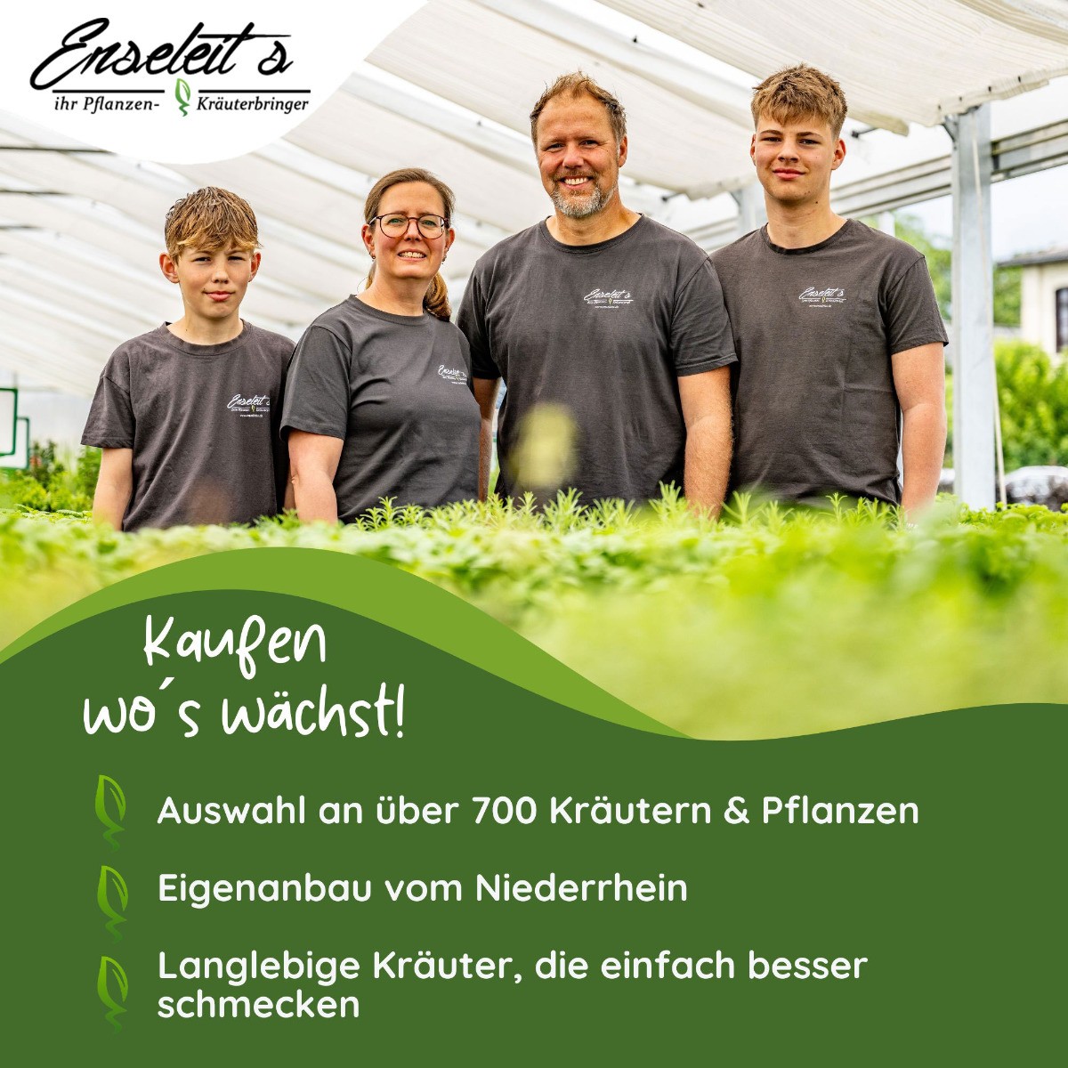 Bild 2 von 3
