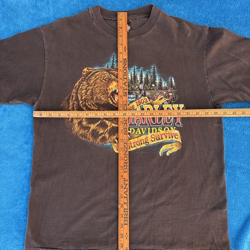 1994 HARLEY DAVIDSON L T-Shirt THE STRONG SURVIVE Bear Florida Eagle Biker 0933 - Picture 6 of 15