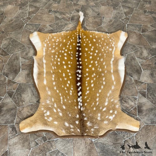 #29775 WC | Axis Deer Hide Taxidermy Throw Rug For Sale
